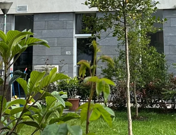 Tirane, jepet me qera ambjent biznesi Kati 0, 780 €