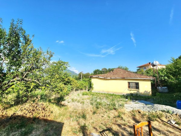 - 🌍SHITET: Shtëpi 130m² + TRUALL 2300 m² 📍KËRRABË /Mushqeta 210,000€ 🏕