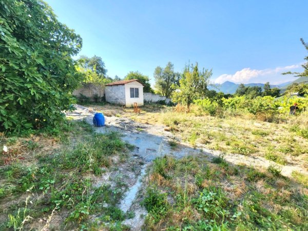 - 🌍SHITET: Shtëpi 130m² + TRUALL 2300 m² 📍KËRRABË /Mushqeta 210,000€ 🏕
