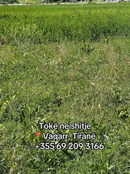 Tirane, shitet toke , 2.300 m² (Vaqarr)