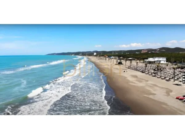 Spille, shitet toke , 3.600 m² (spille)