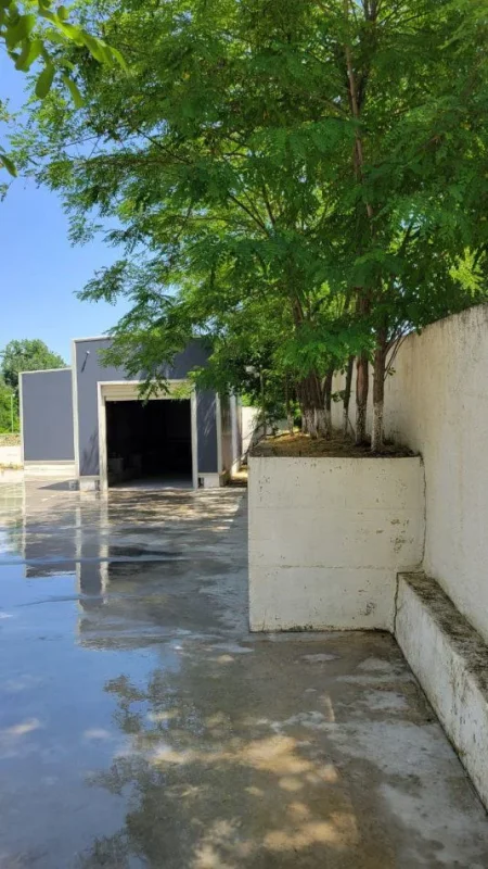 Tirane, jepet me qera ambjent biznesi Kati 0, 350 m² 1.500 € (PRANE AEROPORTIT,RINAS)