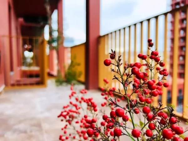 Tirane, shitet apartament 2+1 , 114 m² 285.000 € (Garden Building)