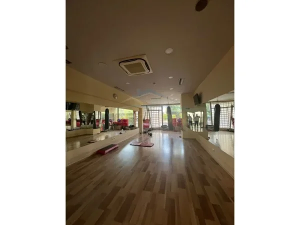 Tirane, shitet ambjent biznesi Kati 0, 422 m² 1.300.000 € (RRUGA SHKELQIM FUSHA)