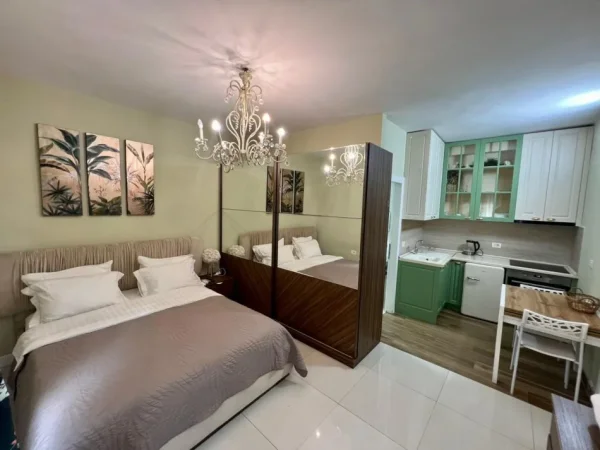 Tirane, shitet apartament 1+1 Kati 1, 192 m² 