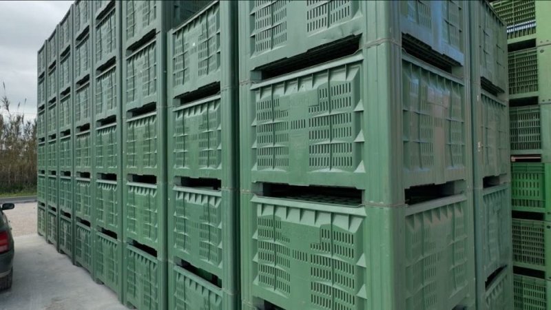 KOSHA PLASTIK ME DENSITET TE LARTE!