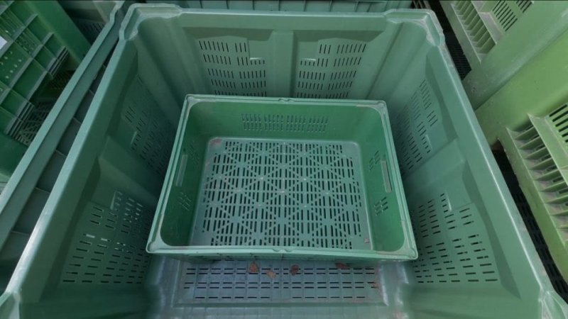 KOSHA PLASTIK ME DENSITET TE LARTE!