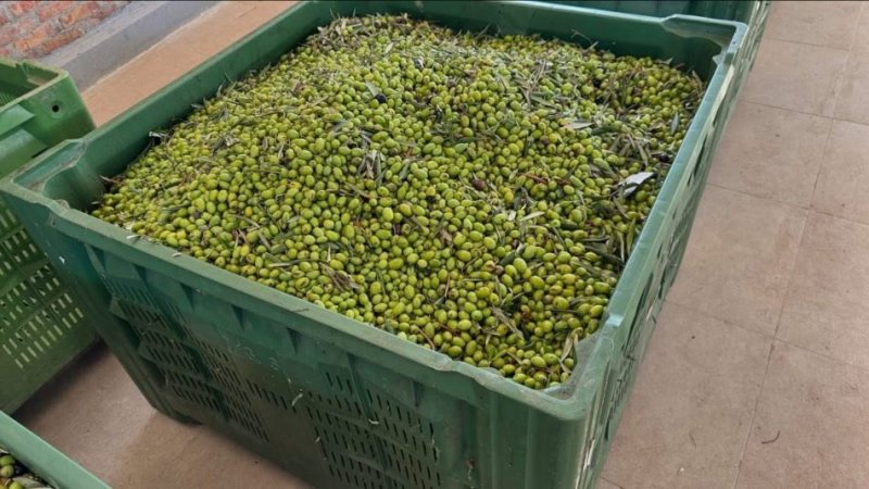 KOSHA PLASTIK ME DENSITET TE LARTE!