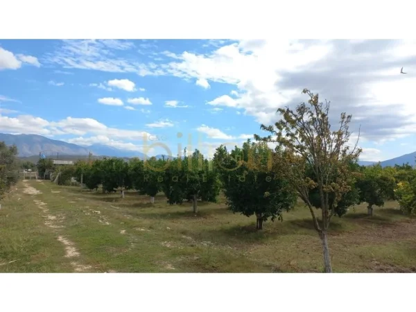 Sarande, shitet , 11.000 m² 100.000 € (ÇUKË, SARANDË)