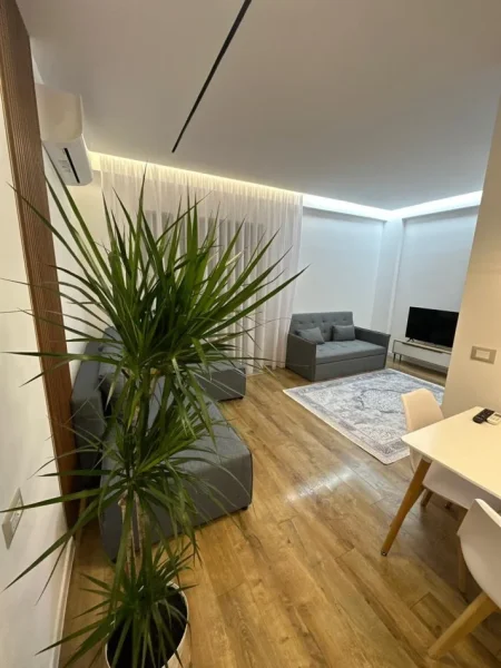 Tirane, jepet me qera apartament 2+1 Kati 2, 100 m² 650 € (LIQENI THATE)