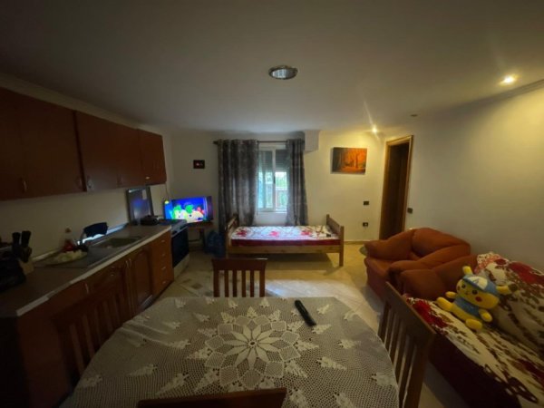 Tirane, jepet me qera Vile 1+1 Kati 0, 55 m² 300 € 