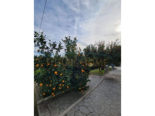 Tirane, shitet Vile , 250 m² 280.000 € (YRSHEK)