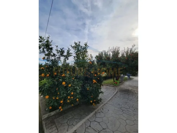 Tirane, shitet Vile , 250 m² 280.000 € (YRSHEK)