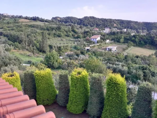 Tirane, shitet Vile , 300 m² 320.000 € (DAJT)