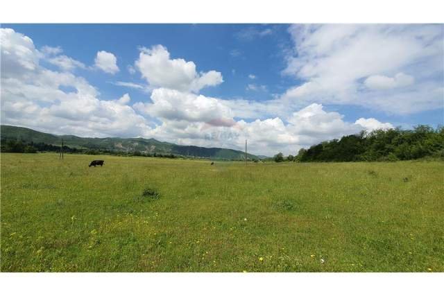 Tirane, shes toke 10.000 m² 450.000 Euro (Picalle)