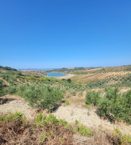 Momel, shitet toke bujqesore , 12.214 m² 61070 € (Momel,Kavaje)