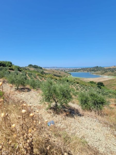 Momel, shitet toke bujqesore , 12.214 m² 122.140 € (Momel,Kavaje)
