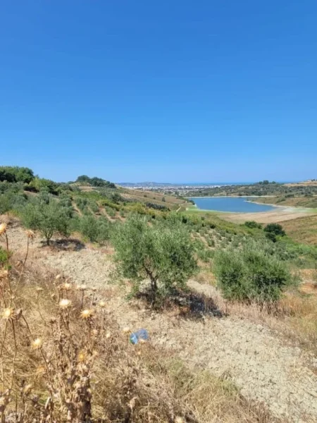 Momel, shitet toke bujqesore , 12.214 m² 61070 € (Momel,Kavaje)