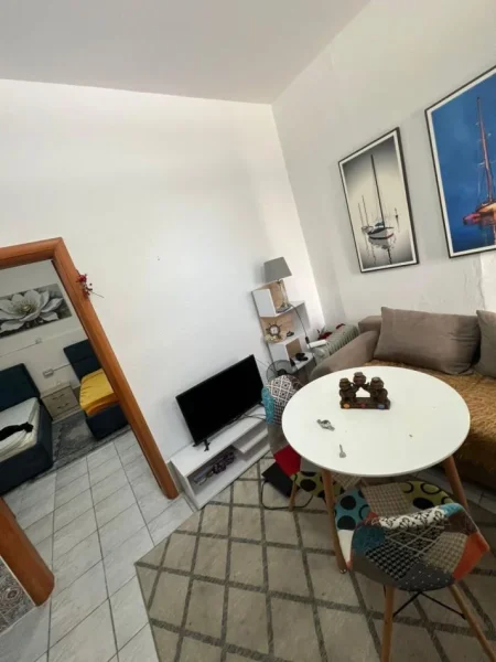 Tirane, jepet me qera Vile 1+1 Kati 0, 40 m² 300 € (Rruga Nasi Pavllo, nr.2)