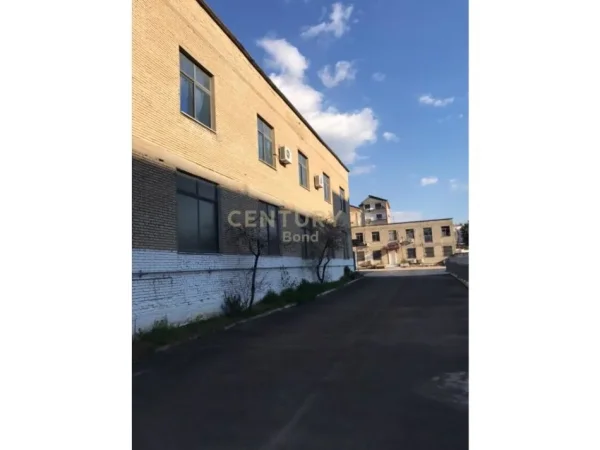 Tirane, jepet me qera ambjent biznesi Kati 1, 1.028 m² 7.000 € (Ali Demi)