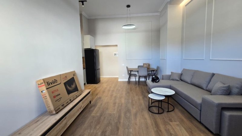 Tirane, jepet me qera apartament 1+1+Ballkon Kati 0, 60 m²  (Liqeni i Thate)