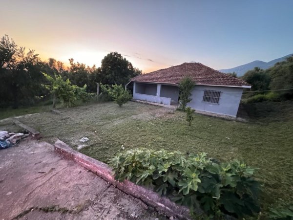 Tirane, shitet truall , 1.850 m² (Rruga Sheheler)