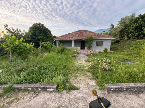 Tirane, shitet truall , 1.850 m² (Rruga Sheheler)