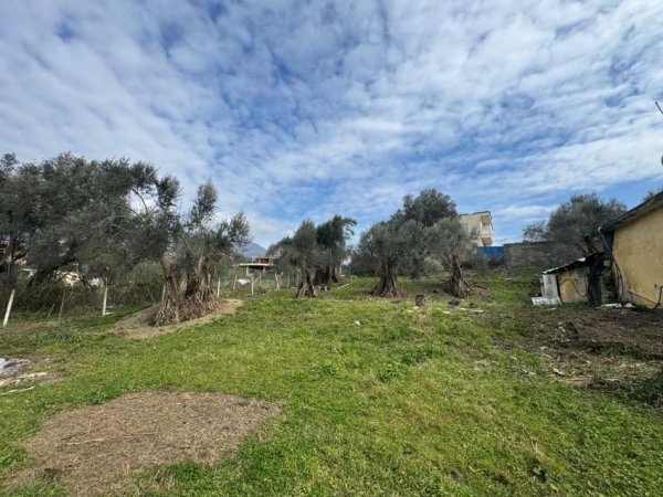 Tirane, shitet truall , 1.850 m² (Rruga Sheheler)