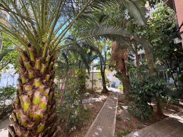 Tirane, jepet me qera apartament 2+1 Kati 2, 85 m² 700 € (Brryli , Rruga Arkitekt Sinani)