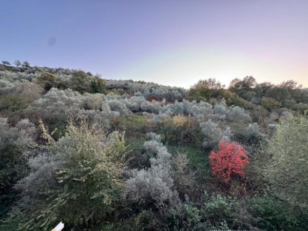 Tirane, shitet Kati 2, 107 m² 225.000 € (KOPSHTI ZOOLOGJIK)