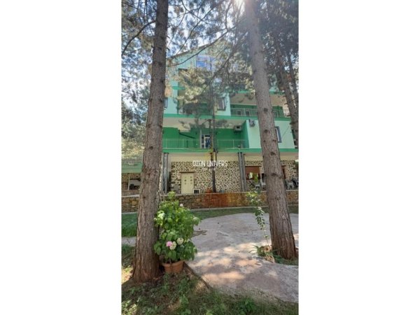 Bulqize, shitet ambjent biznesi Kati 4, 11.782 m² 1.000.000 € (Bulqizë, Dibër)