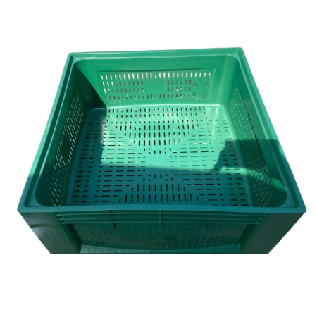 KOSHA PLASTIK TE RINJ- 95 € neto/copa
