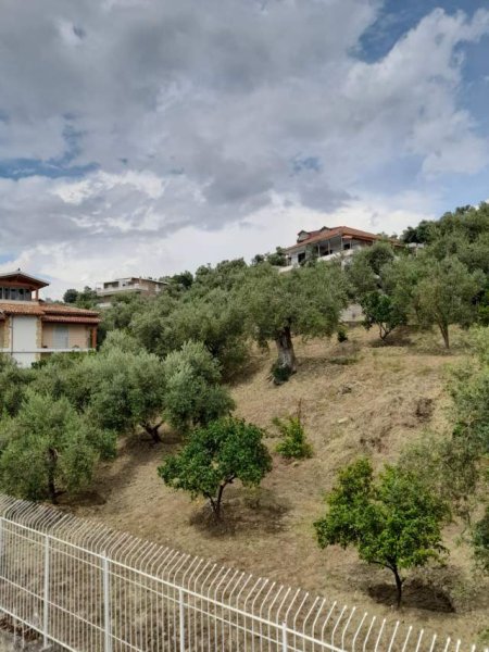 Vlore, shes truall OKAZION 1.000 m²  (Lagjia Hajro Cakerri pas Kuzum Babase)