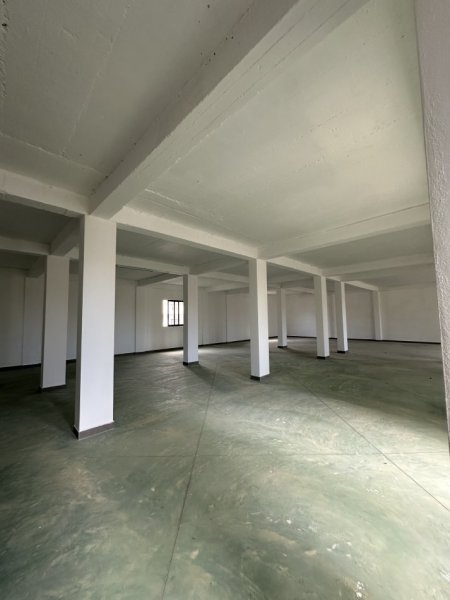 Tirane, shitet magazine , 690 m² 560.000 € (Pranë Urës së Dajlanit)