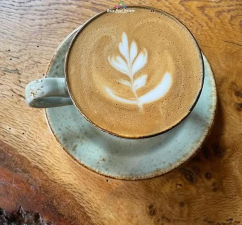 Tirane, jepet me qera ambjent biznesi Kati 0, 256 m² 1.500 € (Rruga Abdi Toptani)