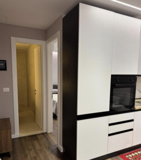 Tirane, jepet me qera apartament 1+1+Ballkon Kati 0, 60 m² 800 € (Bulevardi Zogu I)