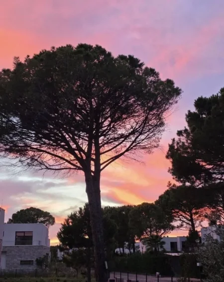 Durres, shitet Vile , 188 m² 790.000 € 