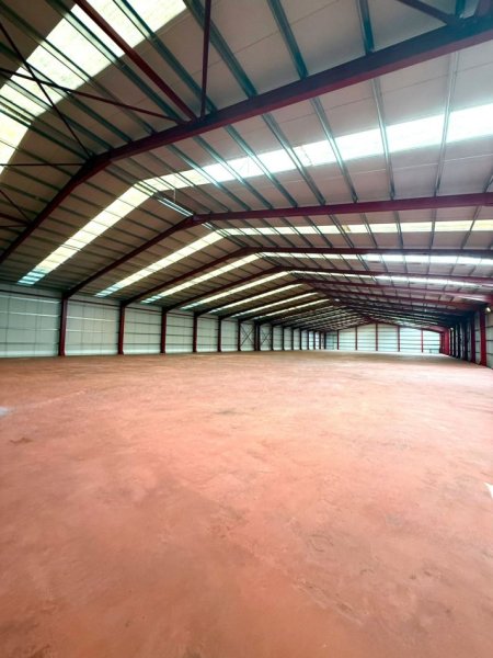 Tirane, jepet me qera magazine Kati 2, 1.500 m² 4.500 € (VAQARR)