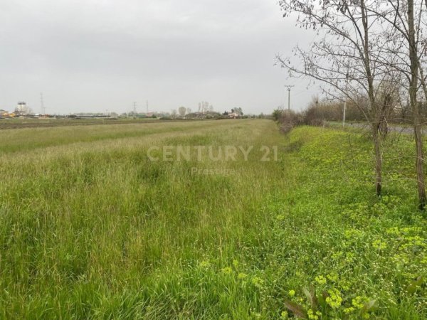 Tirane, shes toke , 22.561 m² 466.000 € (Fushe Kruje)