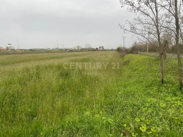 Tirane, shes toke , 22.561 m² 466.000 € (Fushe Kruje)