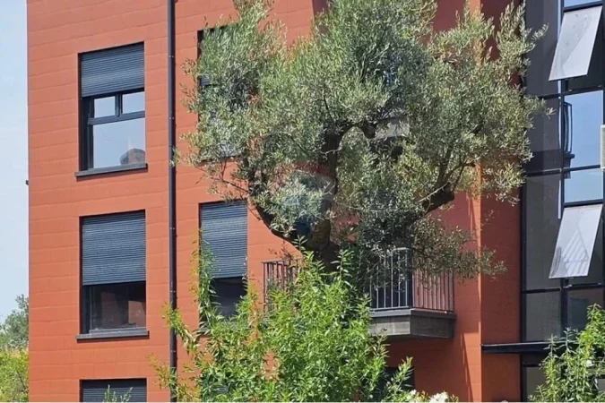 Tirane, shitet apartament+verande | Penthouse 2+1 Kati 2, 139 m² 320.000 € (TEG (ID: 530181081-336)