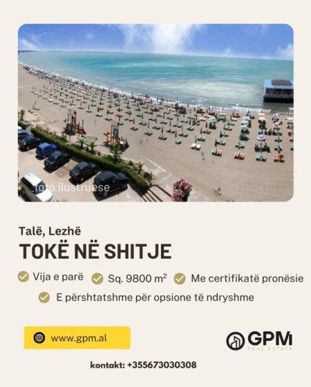Shengjin, shitet toke , 9.800 m²