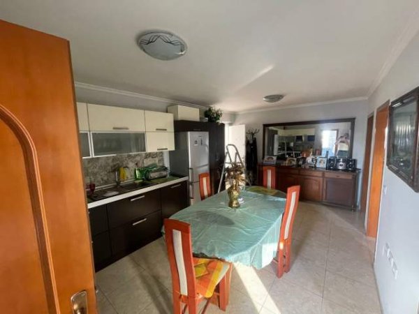 Tirane, jepet me qera apartament 1+1 Kati 5, 55 m² 320 Euro (Ali Demi)
