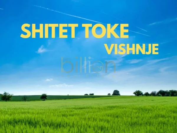Tirane, shitet , 6.632 m² 330.000 € (BALDUSHK, VISHNJE)