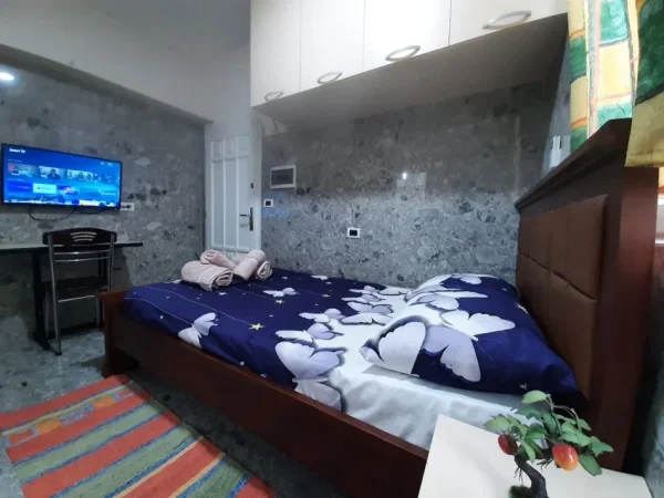 Tirane, jap me qera garsonier 1+1+Ballkon , 33 m² 330 € (Rruga Gjon mili)