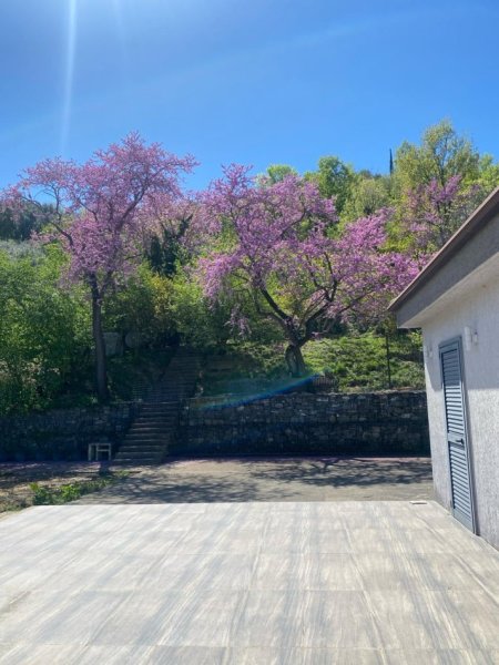 SHITET SHTEPI PRIVATE +TOKE NE VISHNJE