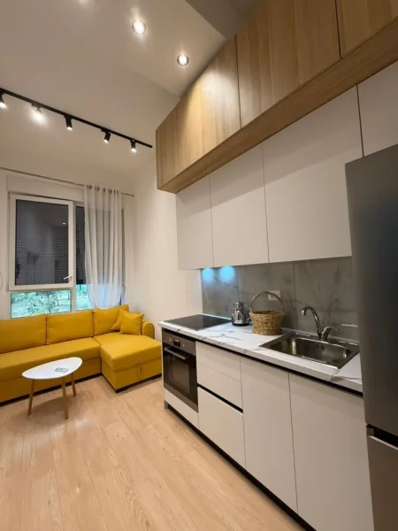 Tirane, jepet me qera apartament 1+1 Kati 0, 50 m² 500 € (Rruga e Kavajes)