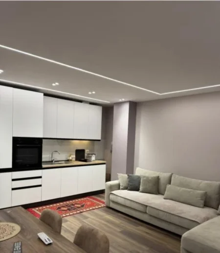 Tirane, jepet me qera apartament 1+1+Ballkon Kati 1, 60 m² 800 € (Bulevardi Zogu i Pare)