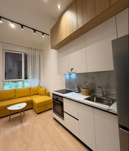 Tirane, jepet me qera apartament 1+1 Kati 1, 50 m² 500 € (21 DHJETORI)