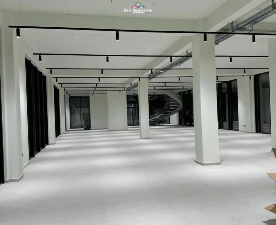 Tirane, jepet me qera ambjent biznesi Kati 1, 3.600 m² 15.000 € (Ne Mezez)